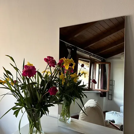 Gæstehus Al Vicolo Uno Montemagno (Piedmont)